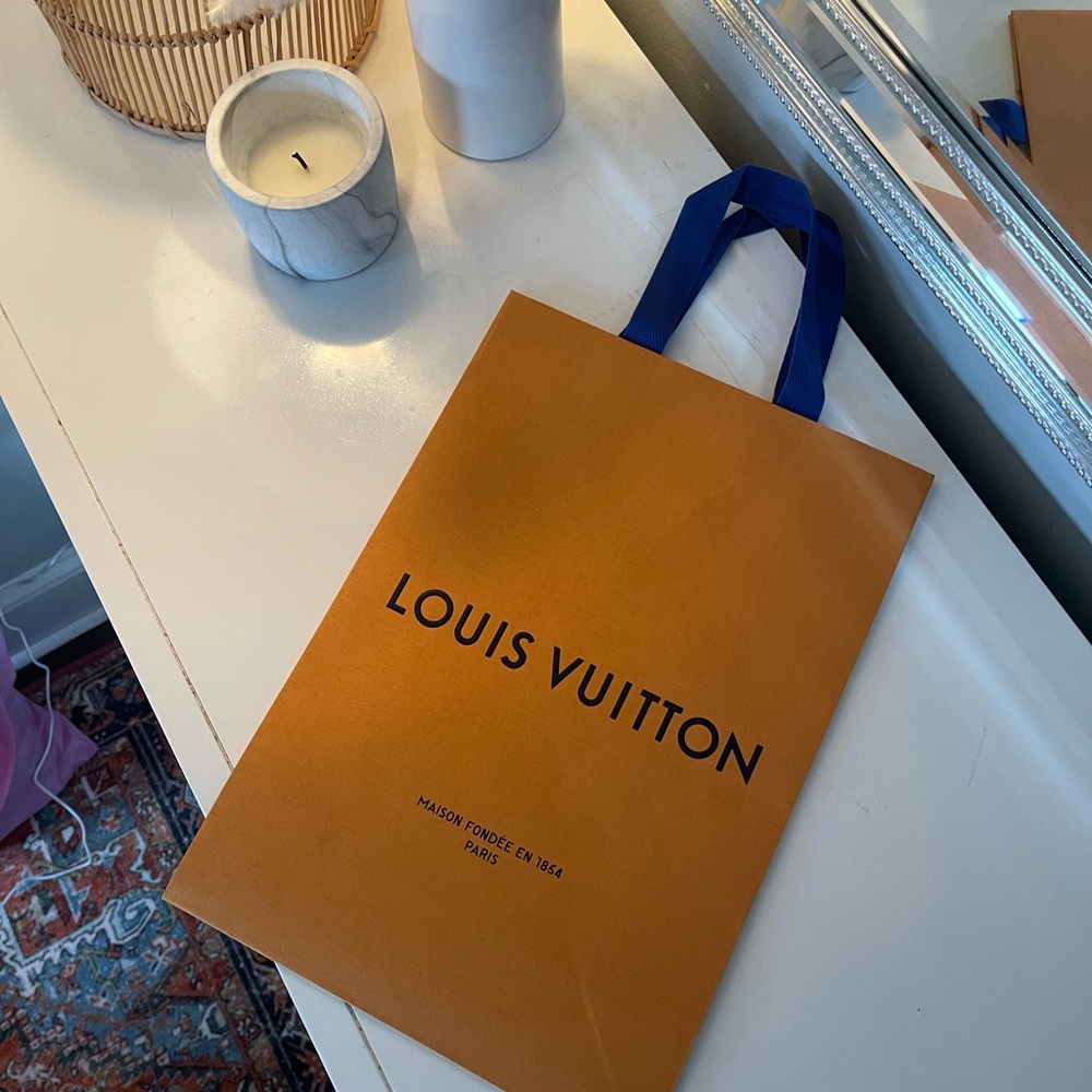 Never used! Brand New Louis Vuitton bag